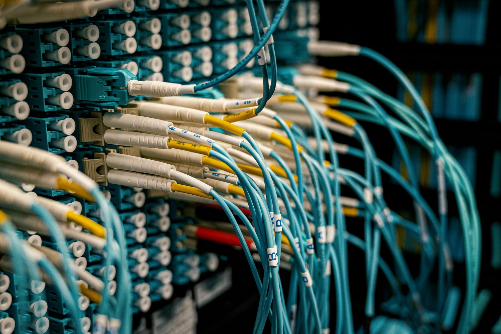 Neural interface fiber interconnects in the rendering pipeline